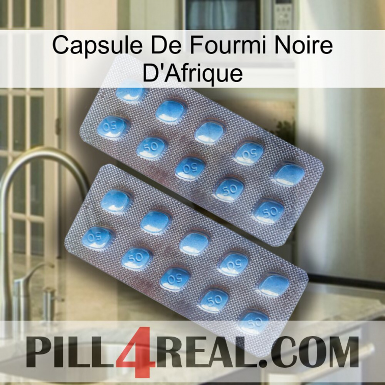 Africa Black Ant Capsule viagra4